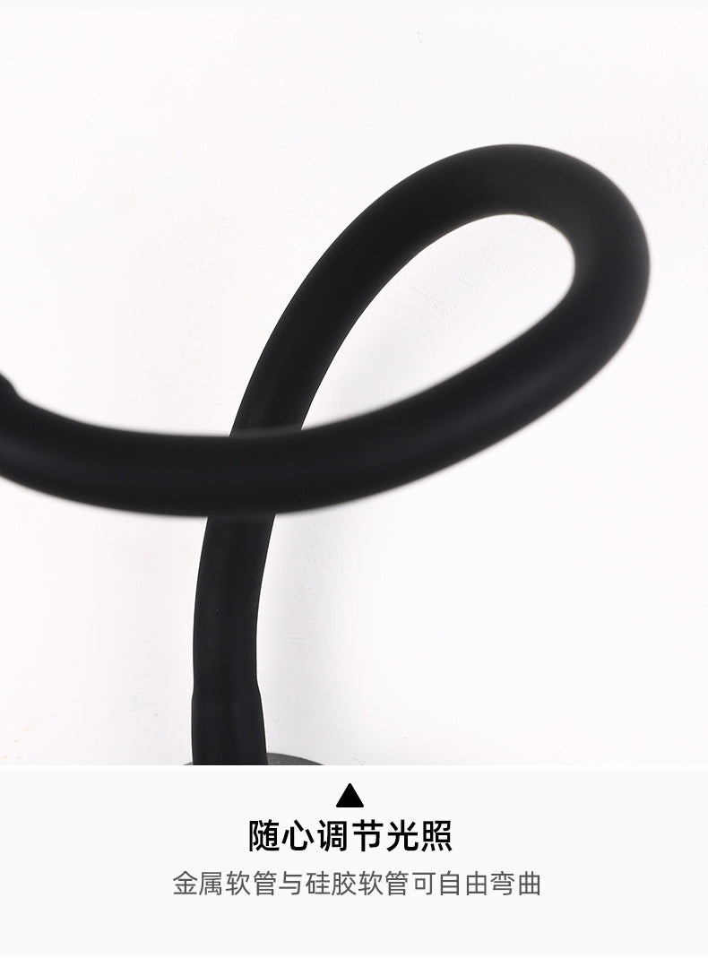 Wall Light LED
