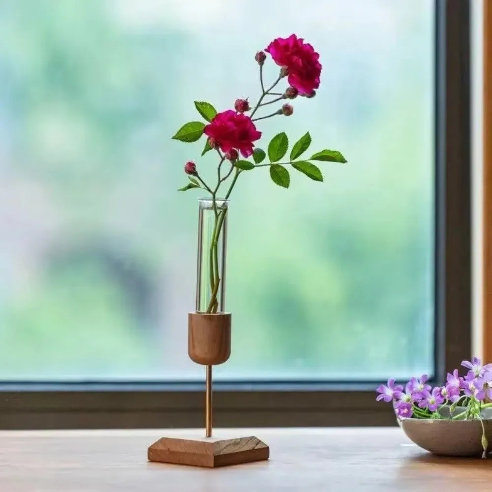 Creative Hydroponic Plant Vase