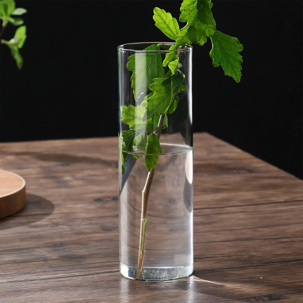 Hydroponic Flower Vase Modern