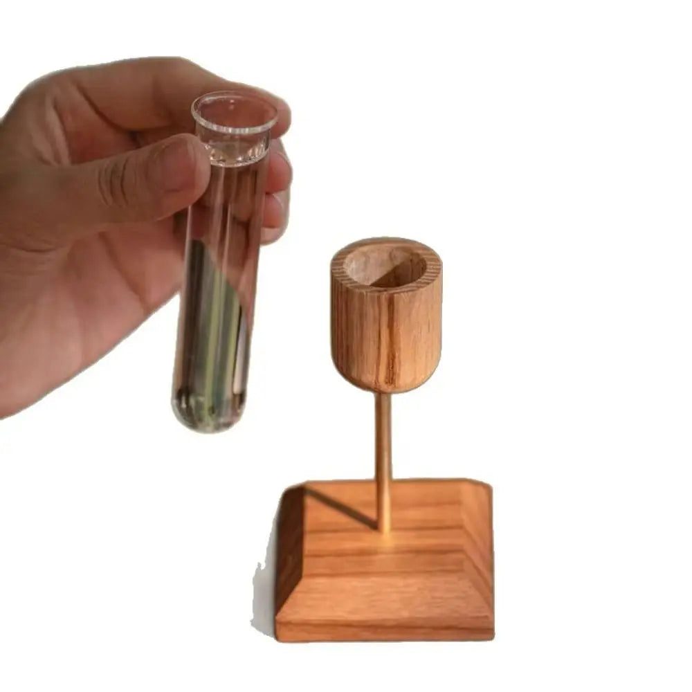 Creative Hydroponic Plant Vase