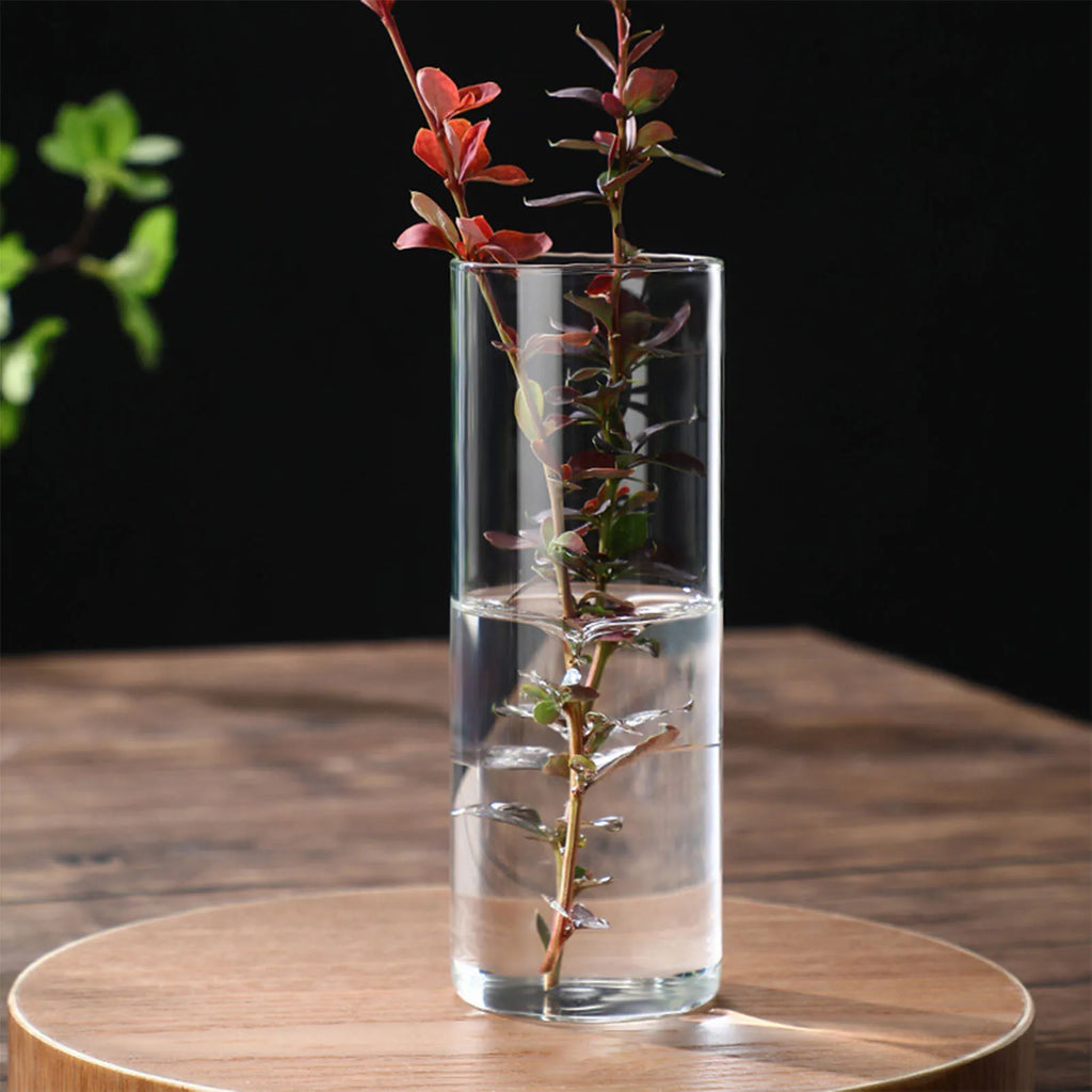 Hydroponic Flower Vase Modern