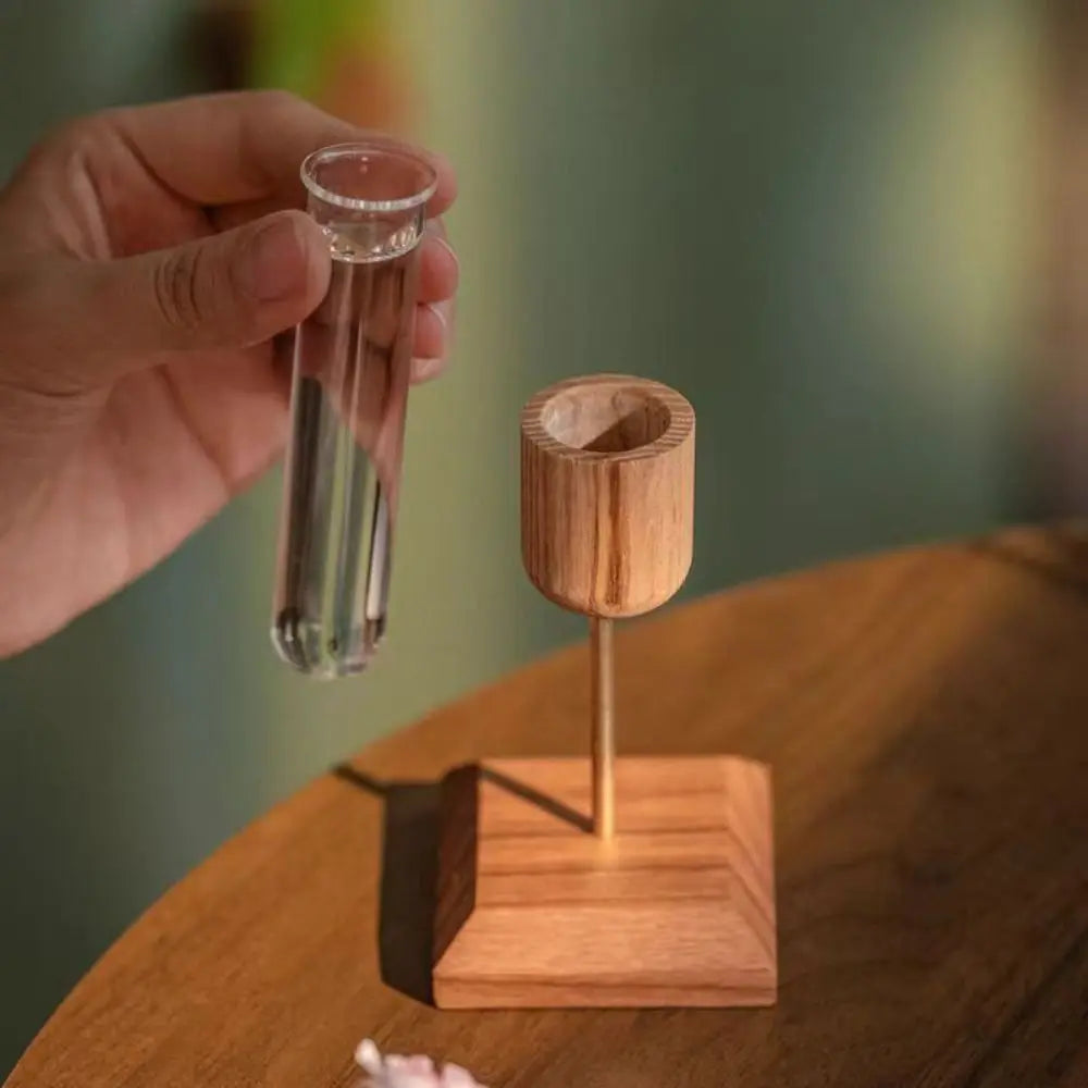 Crafts Creative Hydroponic Plant