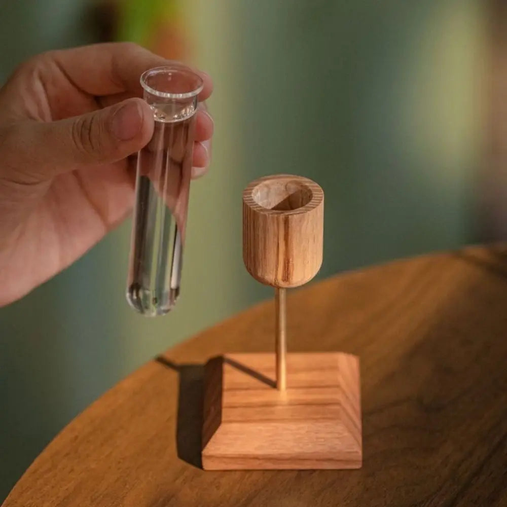 Creative Hydroponic Plant Vase