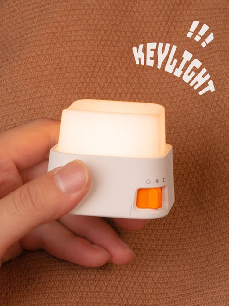 LED Night Lights