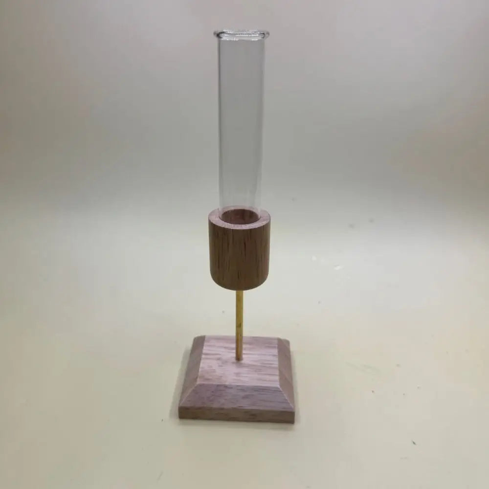 Creative Hydroponic Plant Vase